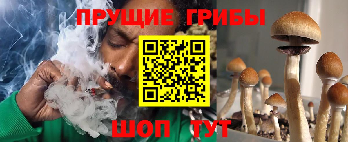 Галлюциногенные грибы Magic Shrooms Новодвинск